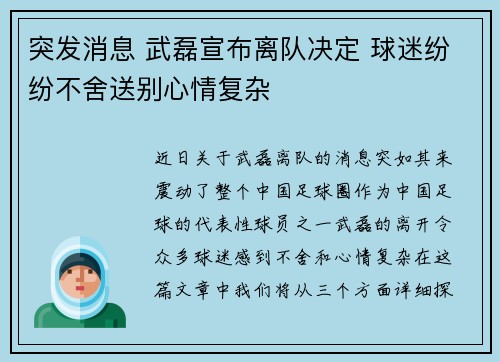 突发消息 武磊宣布离队决定 球迷纷纷不舍送别心情复杂